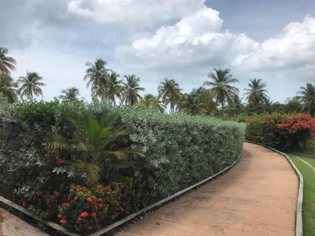 Bonheur A La Residence Savane Le Gosier  Dış mekan fotoğraf